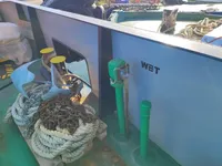Ọkọ̀ ojú omi tí ó mú àwọn ìkọ́kọ̀ fún tà