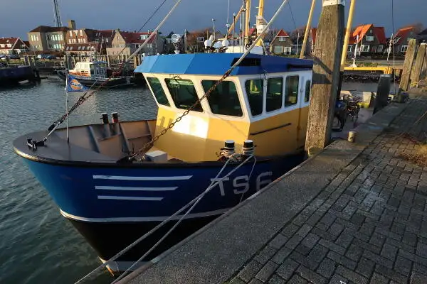 Ọkọ̀ tí ó mú ẹja fún tà