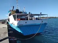 Ọkọ̀ tí ó mú ẹja fún tà
