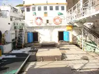 Ọkọ̀ tí ó mú ẹja pọ̀ fún tà