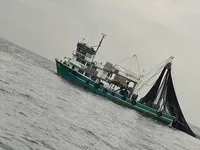 Ọkọ̀ tí ó mú ẹja fún tà