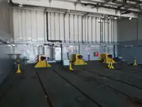 Olopobobo ti ngbe fun tita