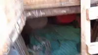 Ọkọ̀ tí ó mú ẹja fún tà