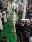 Olopobobo ti ngbe fun tita