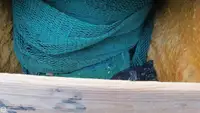 Ọkọ̀ tí ó mú ẹja fún tà