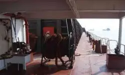 Ọkọ omi Landing, Tank fún tà