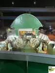 Ọkọ̀ tí ó mú ọkọ̀ rọ̀ fún tà