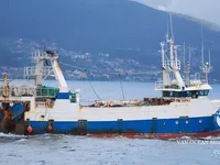 Ọkọ̀ tí ó mú ẹja fún tà