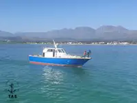 Ọkọ̀ tí ó mú ẹja fún tà