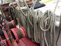 Ọkọ̀ tí ó mú ẹja fún tà