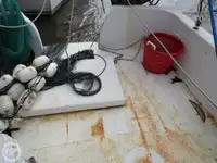 Ọkọ̀ tí ó mú ẹja fún tà