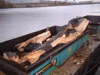 Ọkọ̀ fún tà