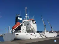 Reefer ọkọ fun tita