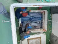 Ọkọ̀ tí ó mú ẹja fún tà