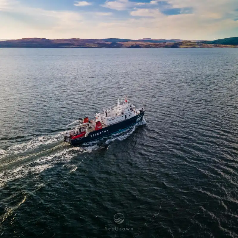 Ọkọ iwadi fun tita