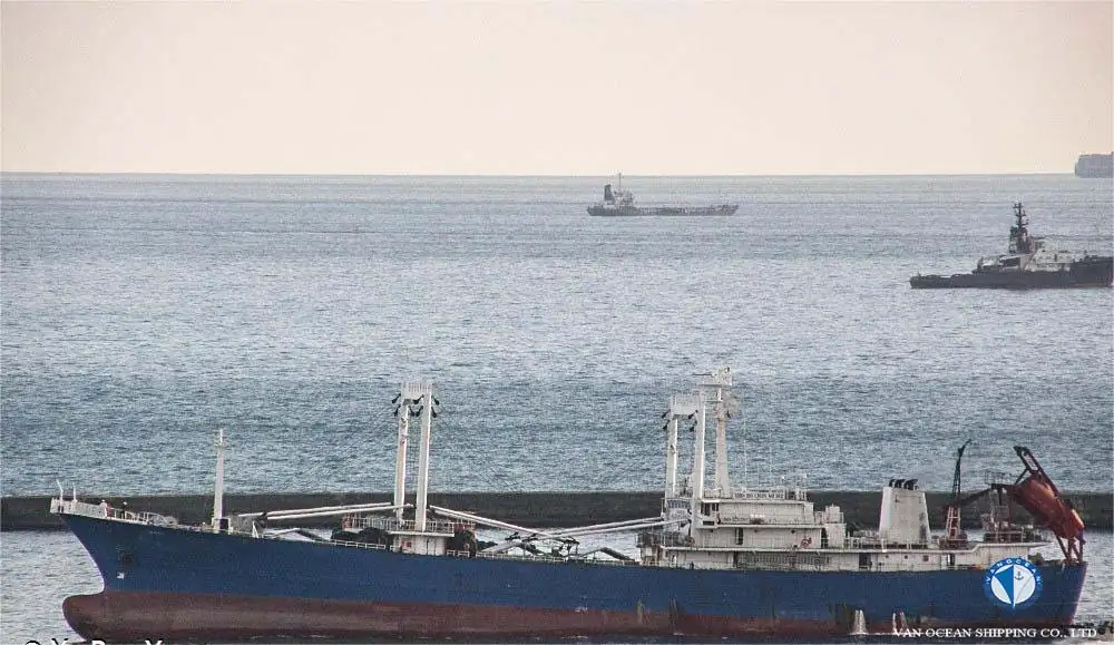 Reefer ọkọ fun tita