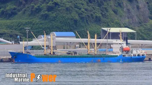 Olopobobo ti ngbe fun tita