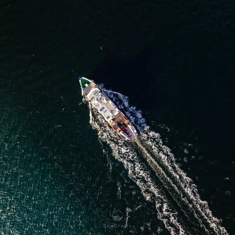 Ọkọ iwadi fun tita