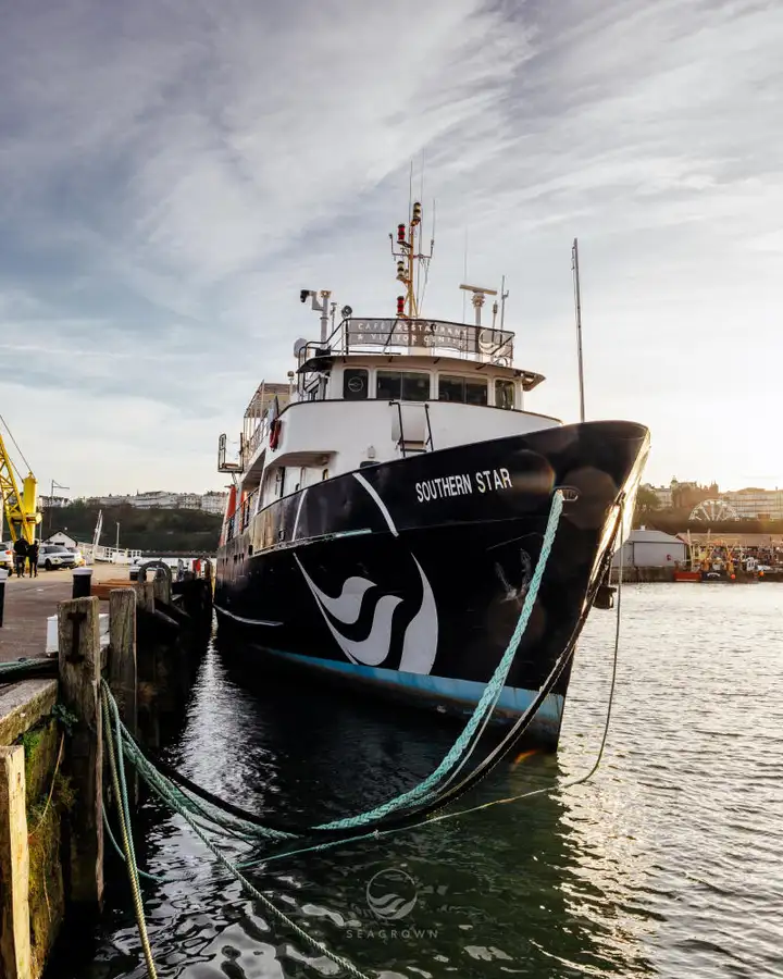 Ọkọ iwadi fun tita