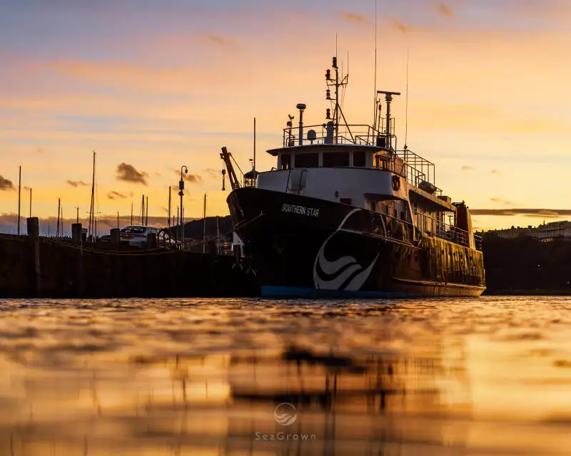 Ọkọ iwadi fun tita