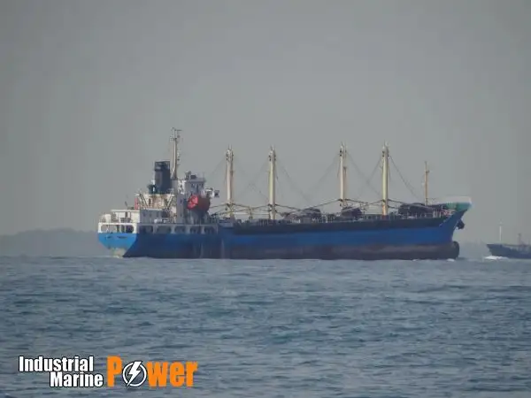 Olopobobo ti ngbe fun tita