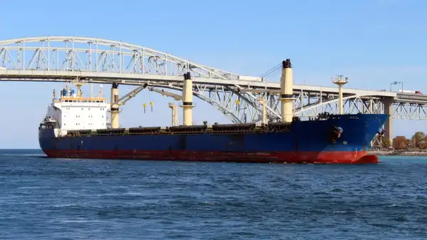 Bulk carrier for sale