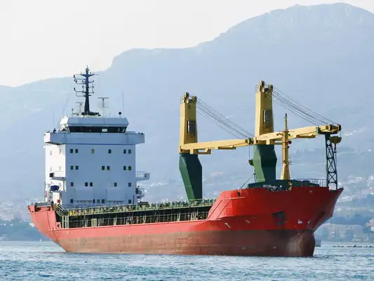 Bulk carrier for sale