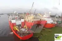 Dive support fun tita