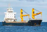 Olopobobo ti ngbe fun tita