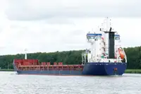 Olopobobo ti ngbe fun tita