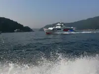 Ọkọ oju-irin fun tita