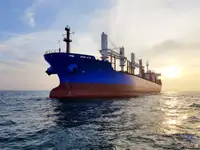 Olopobobo ti ngbe fun tita