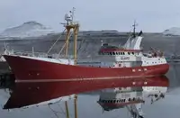 Olopobobo ti ngbe fun tita