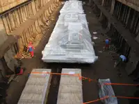 Olopobobo ti ngbe fun tita