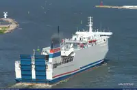 Olopobobo ti ngbe fun tita