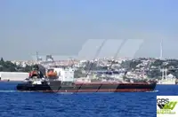 Olopobobo ti ngbe fun tita