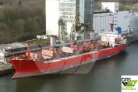 Olopobobo ti ngbe fun tita