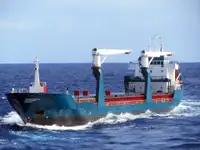 Olopobobo ti ngbe fun tita