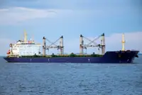 Olopobobo ti ngbe fun tita