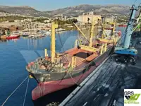 Olopobobo ti ngbe fun tita