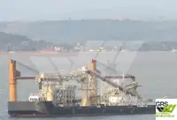 Olopobobo ti ngbe fun tita