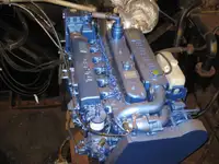 Olopobobo ti ngbe fun tita