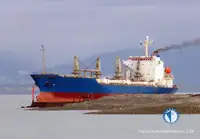 Reefer ọkọ fun tita