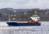 Olopobobo ti ngbe fun tita