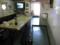 Olopobobo ti ngbe fun tita