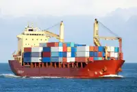 Olopobobo ti ngbe fun tita