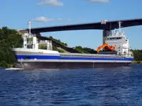 Olopobobo ti ngbe fun tita