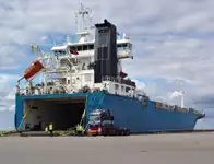 Olopobobo ti ngbe fun tita