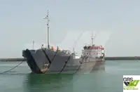 Olopobobo ti ngbe fun tita