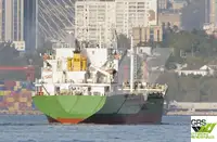 Olopobobo ti ngbe fun tita